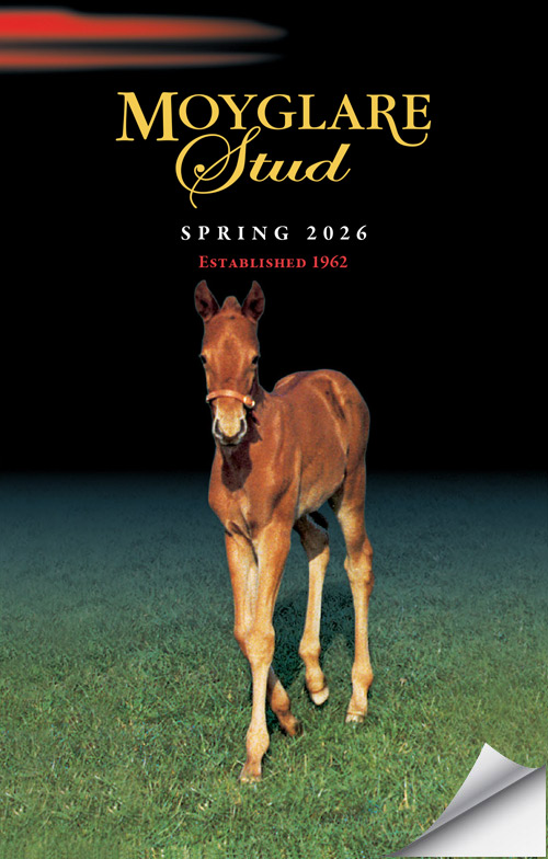 SpringBook2026_Cover_Flip