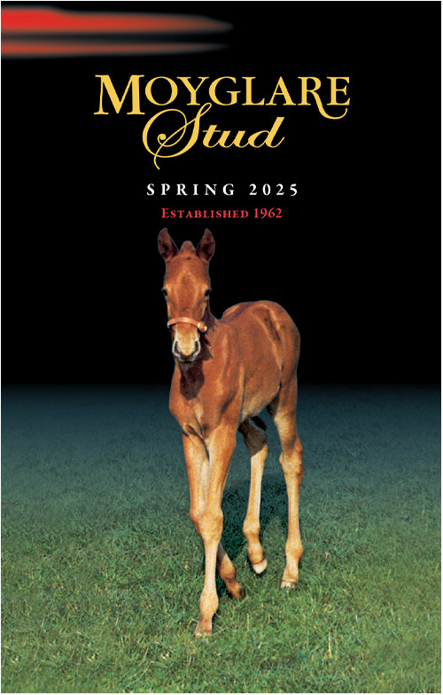 SpringBook2025_Cover_Flip